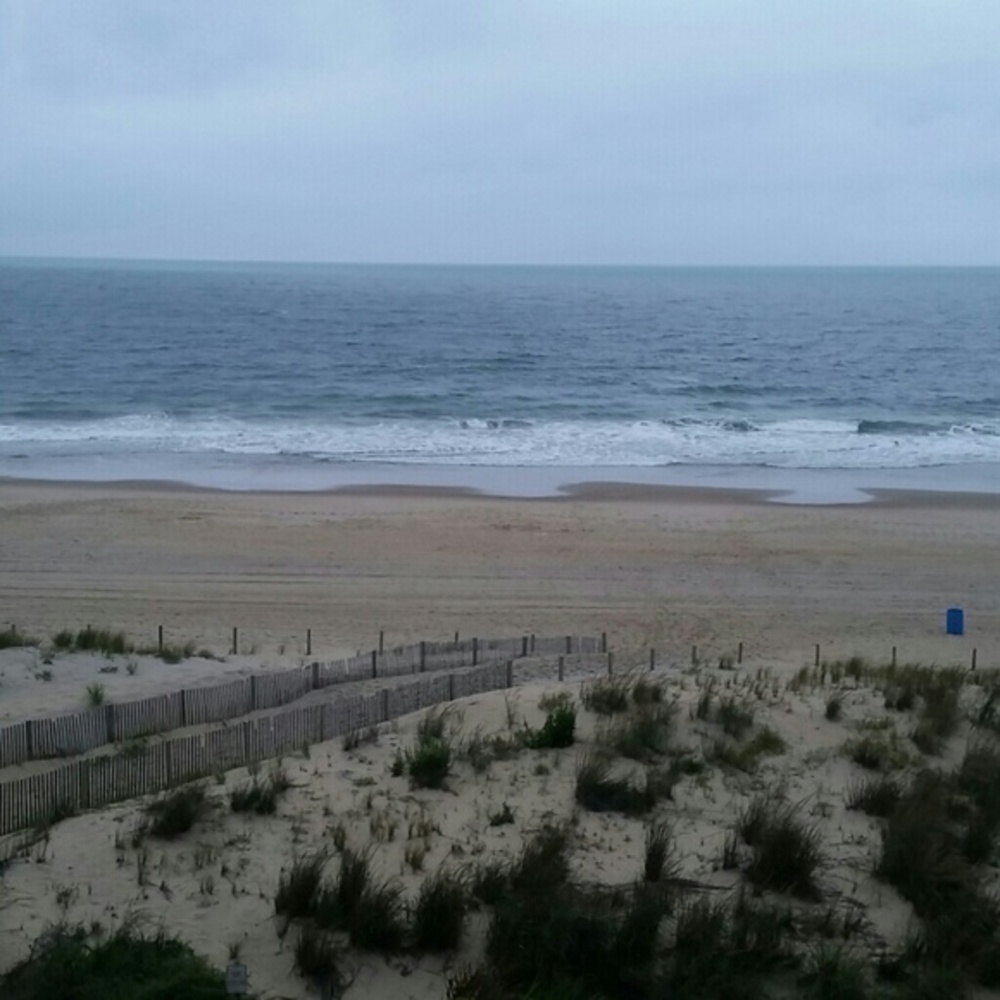 ๐
บMEET your Posher - Picture 1 of 1